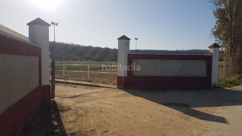 Foto 9792fa96-5940-46d6-966f-ba8ed1127fa0. Finca rústica a Sanlúcar la Mayor