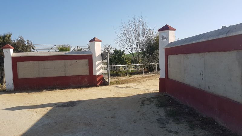 Foto a08c2196-c8ab-47c8-aa80-a96712b3ad09. Finca rústica a Sanlúcar la Mayor