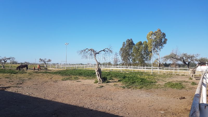 Foto a2ea28fb-403f-4ca9-8db1-01a347ac6e63. Finca rústica a Sanlúcar la Mayor