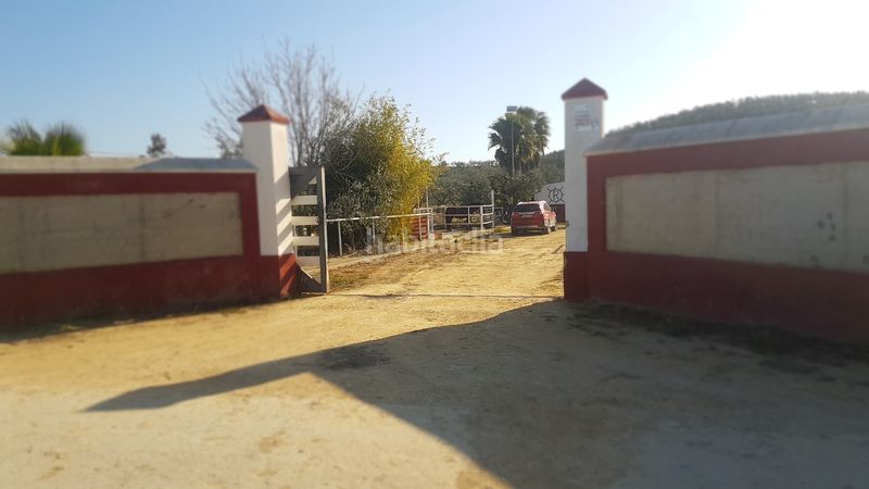 Foto b8353d84-d23d-40fd-90be-65665600ba41. Finca rústica a Sanlúcar la Mayor