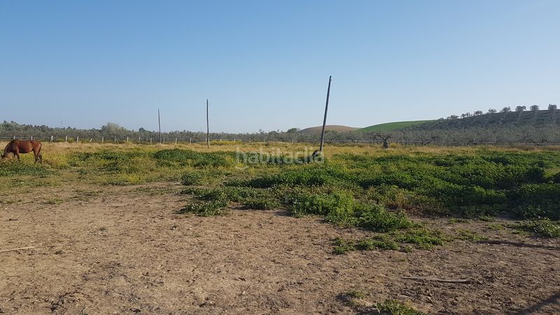 Foto c0ead588-3026-45ee-a1d3-7e4eabc55cff. Finca rústica a Sanlúcar la Mayor