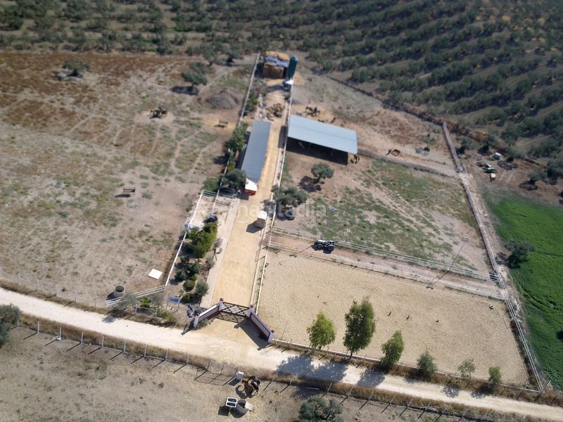 Foto ef78e925-d3aa-41bd-bb30-4224ee116407. Finca rústica a Sanlúcar la Mayor