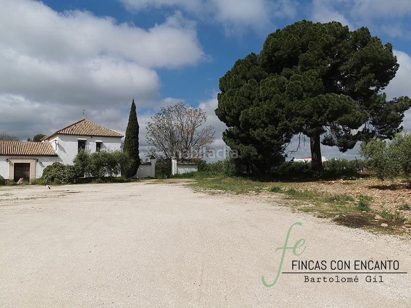Foto 6c2a0d95-9ec0-4bd1-bc38-e64a011443af. Masia amb xemeneia piscina a Marchena