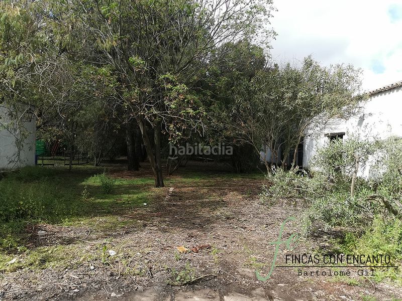 Foto 9a9c994b-880a-4d26-a811-91579a5302e2. Masia amb xemeneia piscina a Marchena
