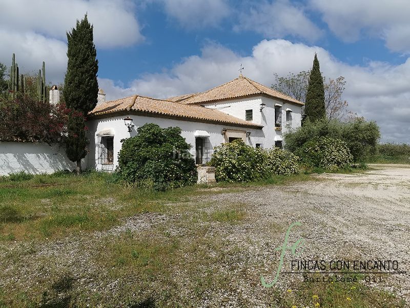 Foto b935c3af-5c9e-49bf-858b-1d9873a0579b. Masia amb xemeneia piscina a Marchena