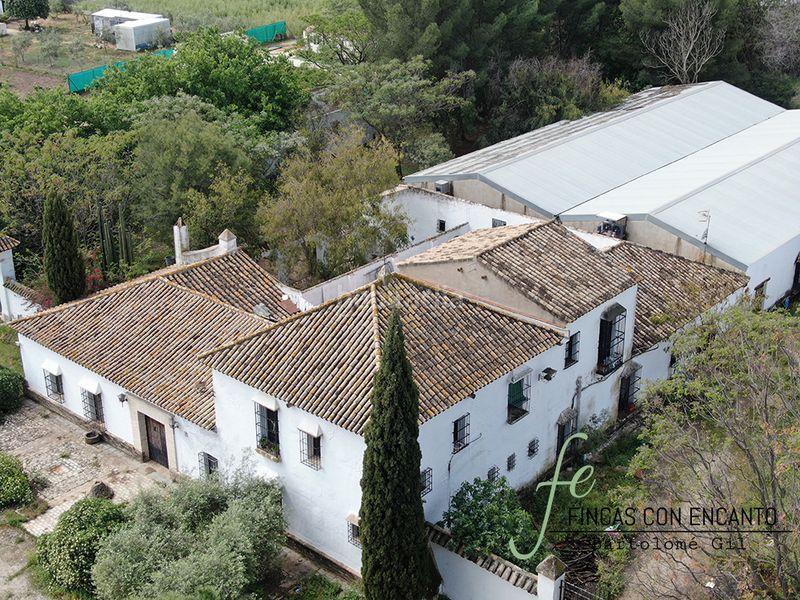 Foto b9e47c16-e589-4e83-b1b4-135c13465b0f. Masia amb xemeneia piscina a Marchena