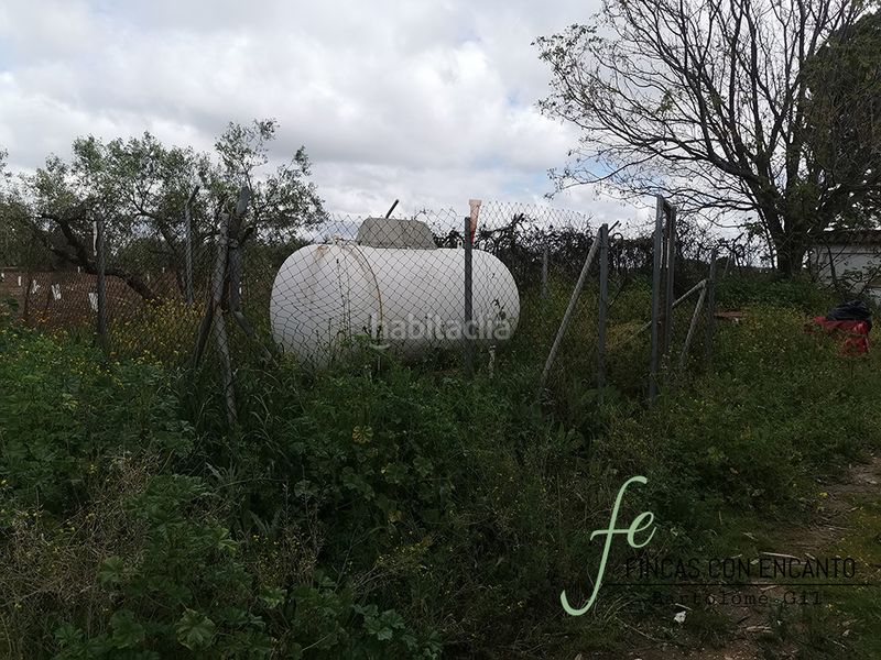 Foto c2663107-5c41-4625-b3a1-05a71be21433. Masia amb xemeneia piscina a Marchena