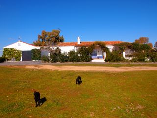 Country house in Santa Olalla del Cala. Finca ecológica cerca de el ronquillo