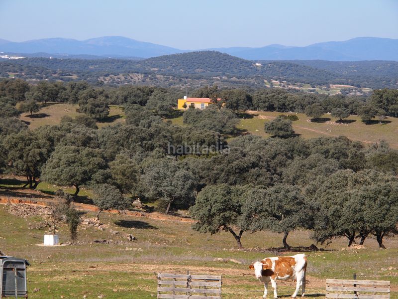 Foto a83f9218-10ce-46d2-befb-046e8fb373a7. Masia amb xemeneia piscina a Santa Olalla del Cala