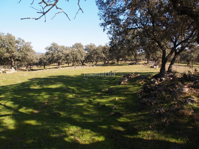 Foto a8d7157a-20e4-454c-862a-f00bdc56dcf8. Masia amb xemeneia piscina a Santa Olalla del Cala