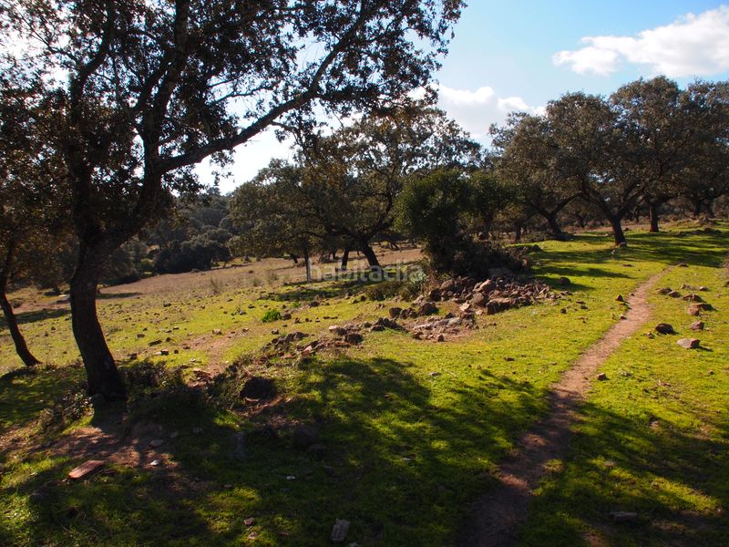 Foto d5b55a43-1170-40bc-9c53-c9e8008a3310. Masia amb xemeneia piscina a Santa Olalla del Cala