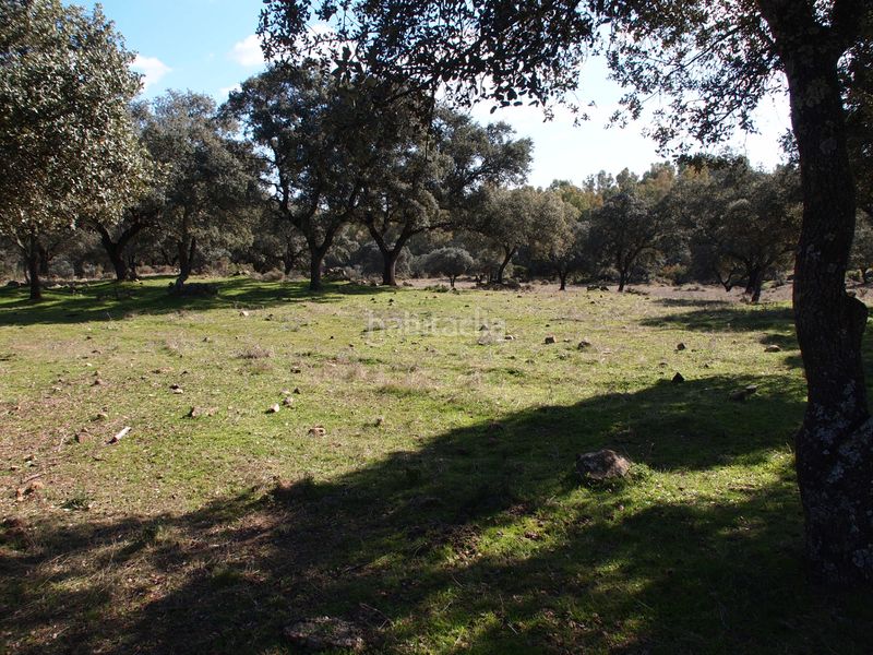 Foto def13b52-fab4-47c2-8418-7b228eabc45f. Masia amb xemeneia piscina a Santa Olalla del Cala