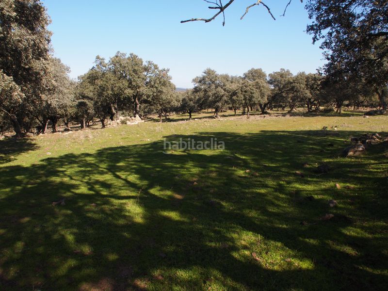 Foto ebeee234-1574-4ee4-a1b7-cf8a7960603c. Masia amb xemeneia piscina a Santa Olalla del Cala