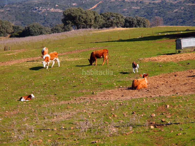 Foto fd6881e8-0624-4709-8cad-7a14bdc50285. Masia amb xemeneia piscina a Santa Olalla del Cala