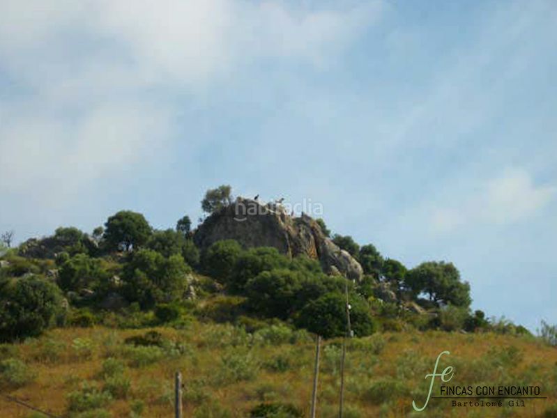 Foto d85a27c3-15a5-48d5-b262-795c8bf81d7a. Masia amb xemeneia piscina a Marchena