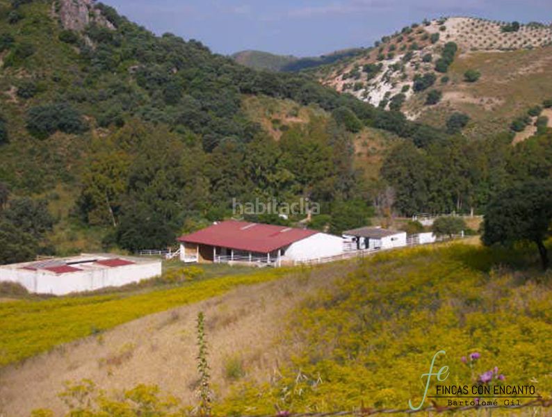 Foto f279a2a7-e599-4853-a69f-39aeabd48d6c. Masia amb xemeneia piscina a Marchena
