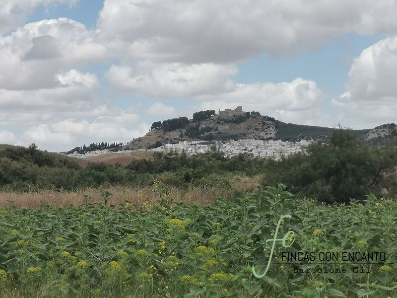 Foto a9d12f0d-fd87-48e2-b246-07f2369a9c7a. Masia a Espera