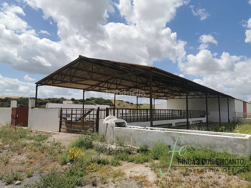 Foto e0638e52-4e5a-4f70-8588-45c40485955c. Masia a Espera
