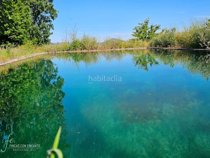 Foto 15af1d7b-0d04-4c06-bc64-442ae2ae620d. Masia amb xemeneia piscina a Cazalla de la Sierra