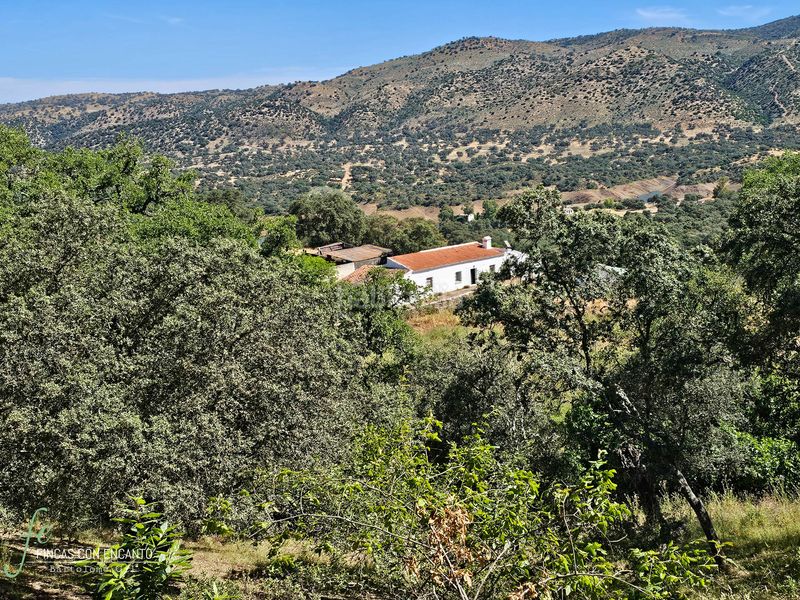 Foto 8a1c3852-5529-41c7-99b1-308bbd594df9. Masia amb xemeneia piscina a Cazalla de la Sierra