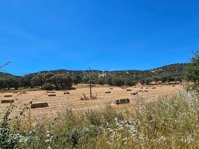 Foto a614600f-458f-4237-8136-d9e429c5d19c. Masia amb xemeneia piscina a Cazalla de la Sierra