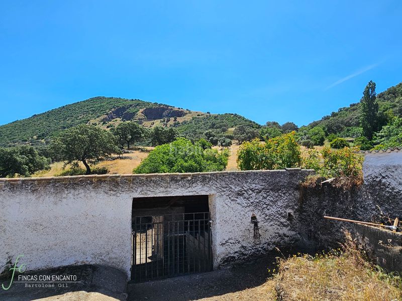 Foto afe8279d-9613-41d5-ad7c-d1b6d662fc2c. Masia amb xemeneia piscina a Cazalla de la Sierra