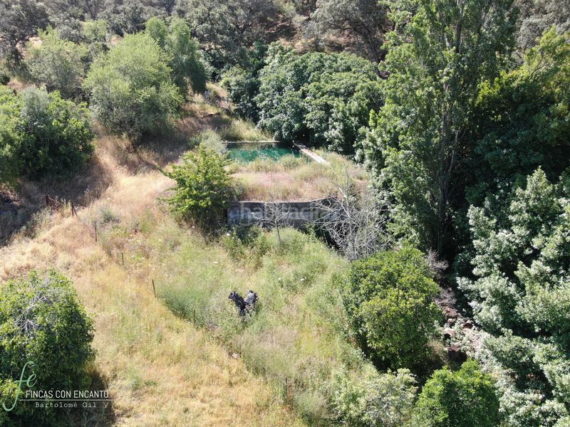 Foto b94ebc81-4dd0-4efa-a05c-202743841011. Masia amb xemeneia piscina a Cazalla de la Sierra