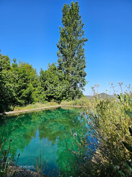 Foto cbba593f-8279-4595-bfab-1ed5ab9e2b38. Masia amb xemeneia piscina a Cazalla de la Sierra