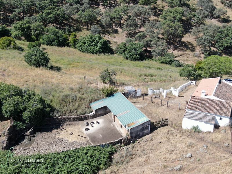 Foto f533d4be-242a-4ca2-bf66-1e8db14c919e. Masia amb xemeneia piscina a Cazalla de la Sierra
