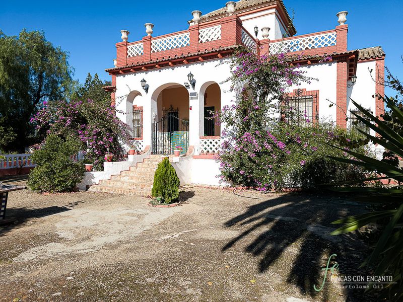 Foto 0d7e6672-6b24-4de6-ad3d-f16249eb6f72. Masia amb xemeneia piscina a Puente Genil