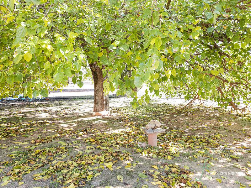 Foto 2e598cb1-751d-422a-88a8-6575c2f0b416. Masia amb xemeneia piscina a Puente Genil