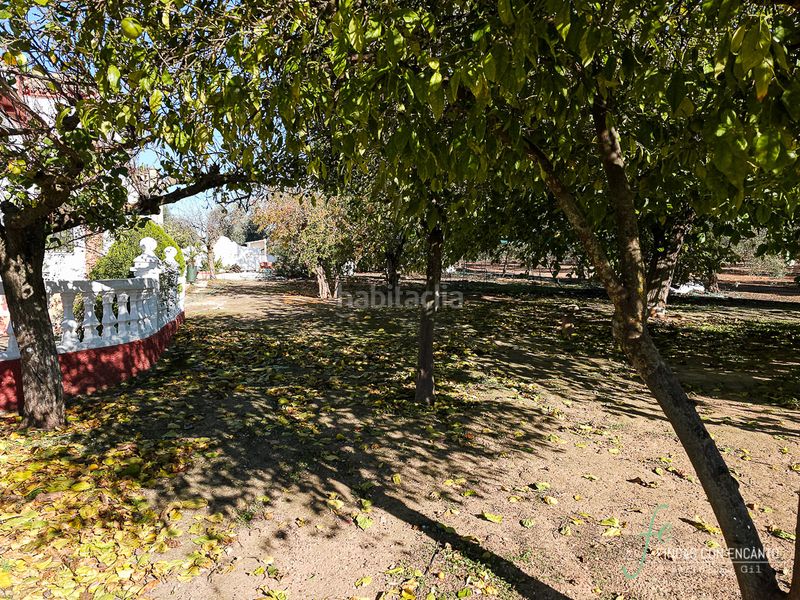 Foto 3ed348dd-decb-459f-ba3a-82ec259e706a. Masia amb xemeneia piscina a Puente Genil