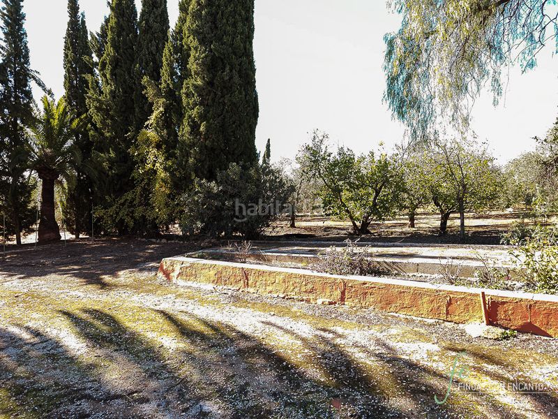 Foto 5114cec7-aa69-466b-a00b-bb092f2727af. Masia amb xemeneia piscina a Puente Genil