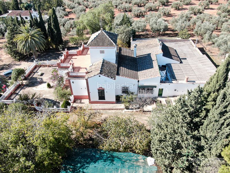 Foto 73788110-76d5-40a3-b964-a04f84a0f00e. Masia amb xemeneia piscina a Puente Genil