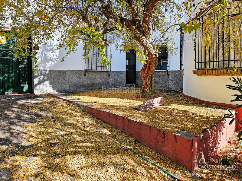 Foto d9134abf-b90b-40cc-9d4f-8f1d8a7d5ce6. Masia amb xemeneia piscina a Puente Genil