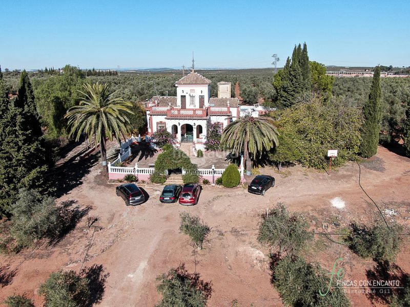 Foto dfa6c64b-99b0-4501-9eaf-02e1f6520e3c. Masia amb xemeneia piscina a Puente Genil