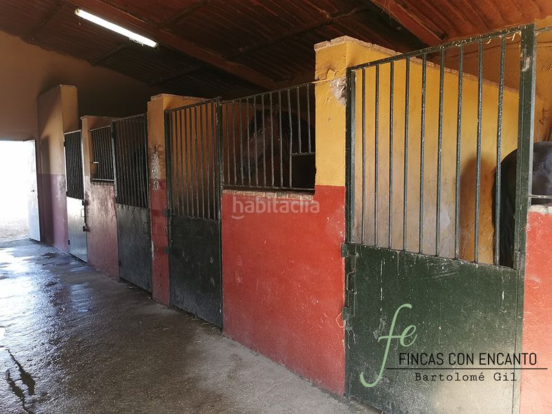 Foto a3c2768d-c598-4b84-9926-54269c30e266. Masia amb xemeneia aparcament piscina a Arcos de la Frontera