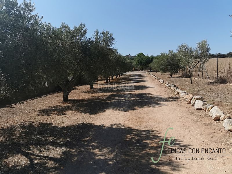 Foto aab39c48-e430-4c96-a501-674dbab79e76. Masia amb xemeneia aparcament piscina a Arcos de la Frontera