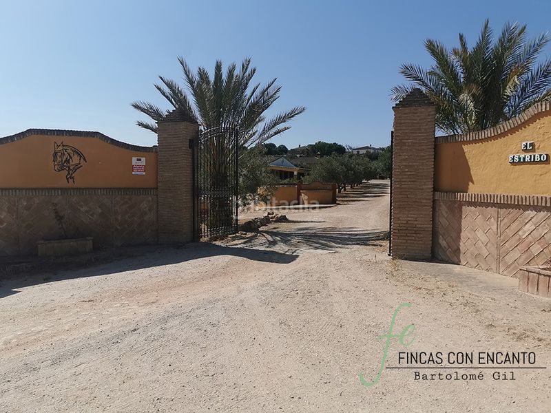 Foto bbf8bf34-74c3-45a4-b338-ec18ddd2fb3c. Masia amb xemeneia aparcament piscina a Arcos de la Frontera