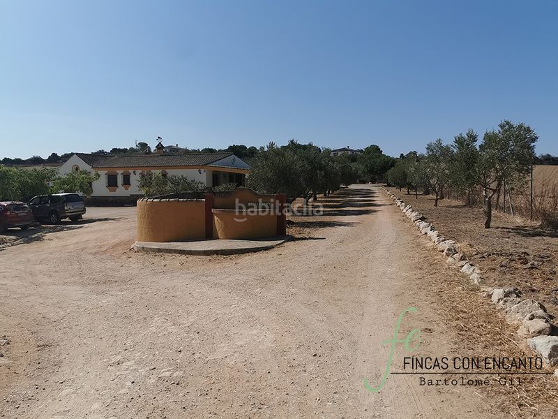 Foto e7ba71c5-ccf8-4d6d-b999-9eb7c9d72170. Masia amb xemeneia aparcament piscina a Arcos de la Frontera