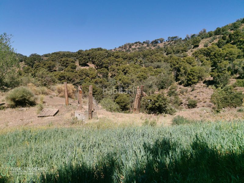 Foto df5285b7-85e5-49b3-880d-8672292085ba. Masia amb xemeneia calefacció aparcament piscina a Málaga
