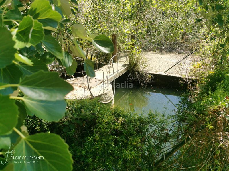 Foto e85aa2c3-7d50-4a05-9564-e9d1ee91022e. Masia amb xemeneia calefacció aparcament piscina a Málaga