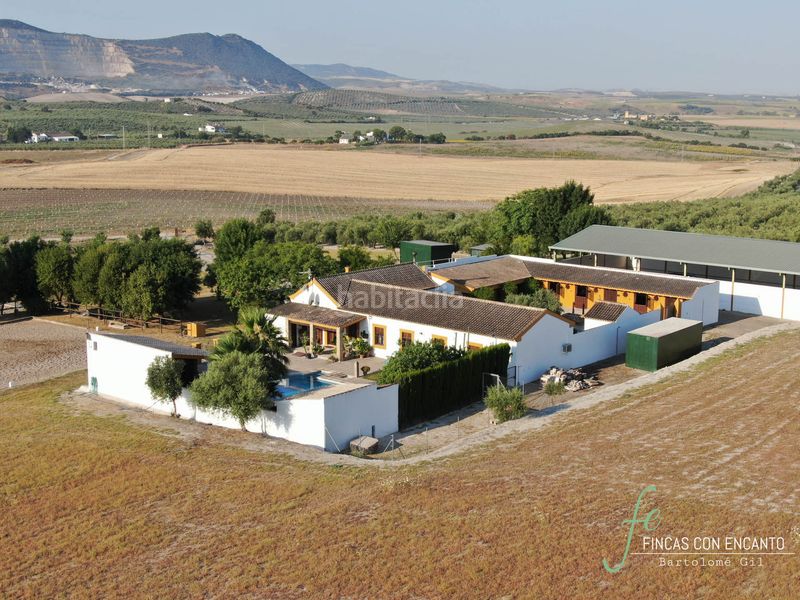 Foto aefd61ca-9fc8-4888-b0bc-69476d79a983. Masia amb piscina a Morón de la Frontera