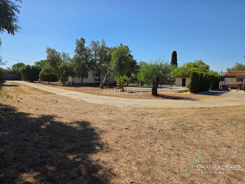 Foto 022b9a7c-2ad7-420d-a235-97b3a1ff7d93. Casa amb xemeneia piscina a Oromana Alcalá de Guadaira