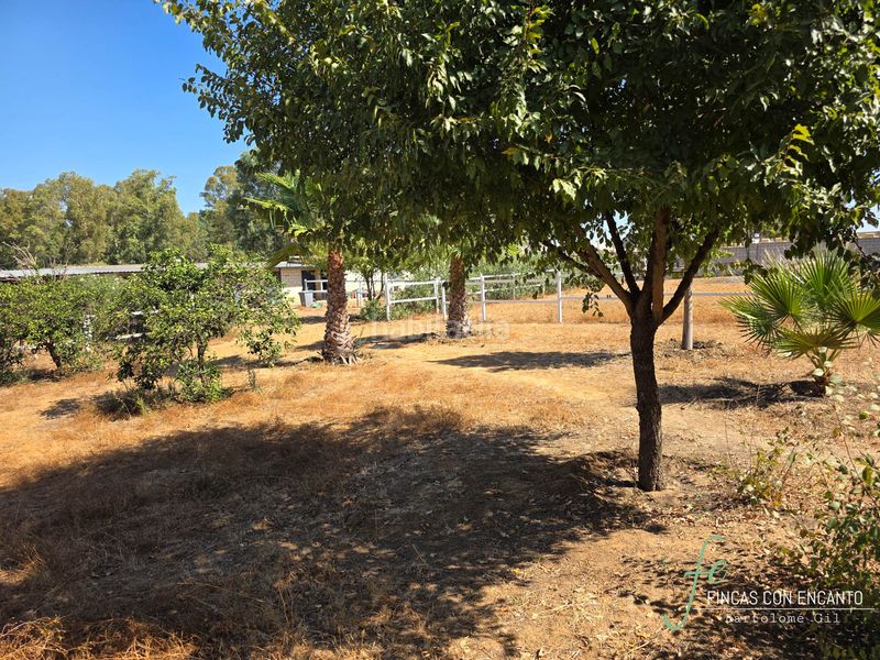 Foto 1f061f70-a8e7-4083-a18a-ac1b09a52250. Casa amb xemeneia piscina a Oromana Alcalá de Guadaira