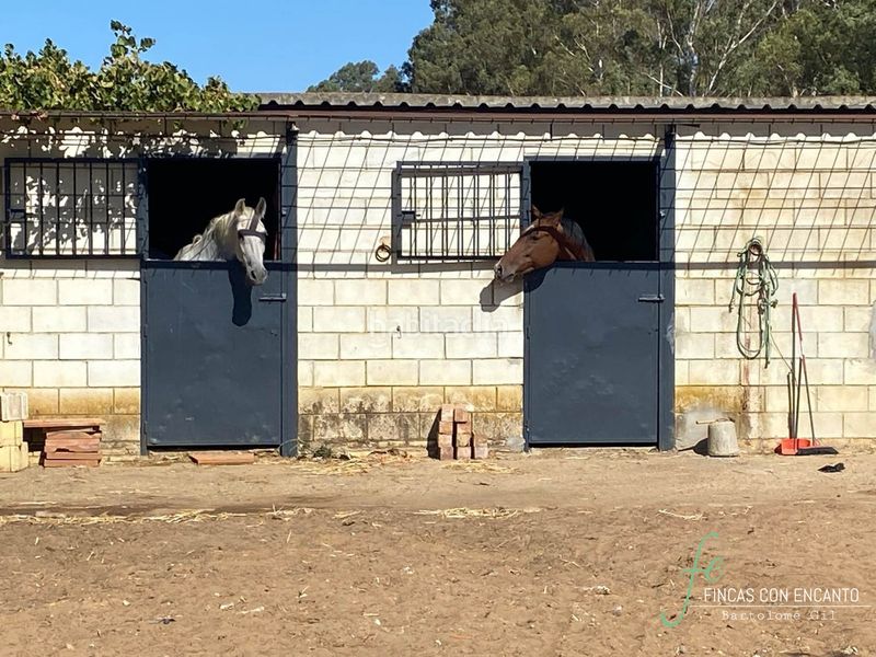 Foto 786252a2-ffca-4fe8-bcde-324fc51814d8. Casa amb xemeneia piscina a Oromana Alcalá de Guadaira