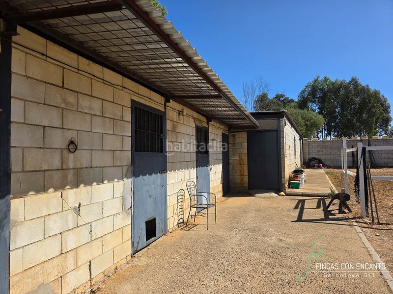 Foto 7a85d5c1-9407-4c26-8275-22c867283801. Casa amb xemeneia piscina a Oromana Alcalá de Guadaira