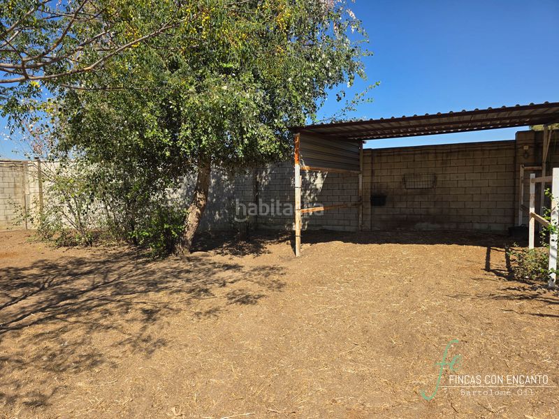 Foto 9318e7a7-d0af-49ce-a0ba-b27a9b6306ca. Casa amb xemeneia piscina a Oromana Alcalá de Guadaira