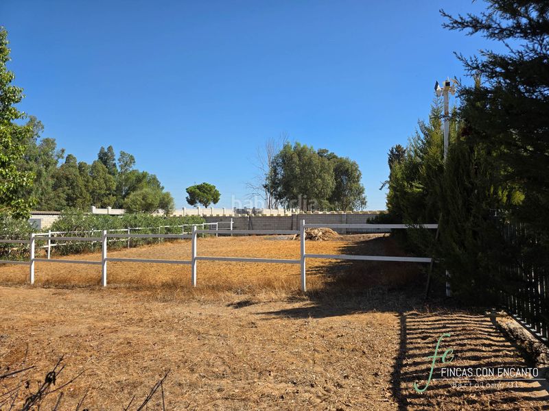 Foto a084cba1-1057-41c8-80fb-cd5adc8deb99. Casa amb xemeneia piscina a Oromana Alcalá de Guadaira