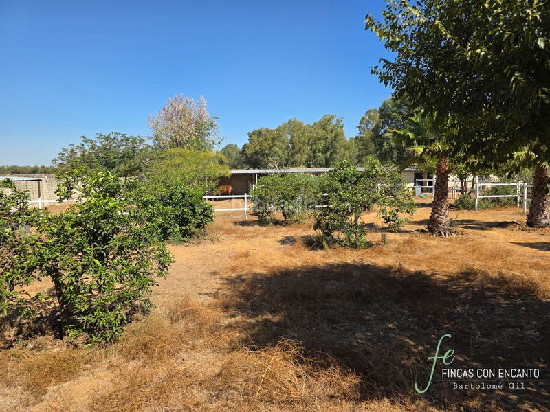 Foto a7f147f0-5367-4a4a-a9ec-a3d474bcef58. Casa amb xemeneia piscina a Oromana Alcalá de Guadaira